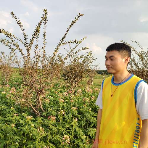 37岁岁广东单身帅哥 - 仙桃吉缘网